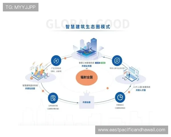 万达体育助力体育产业数字化转型的具体措施与行业示范作用