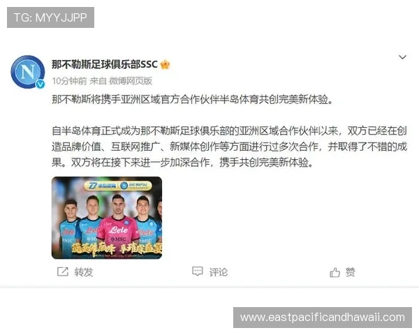 利用半岛体育全站轻松获取体育新闻、赛事回放和专业分析满足不同用户需求