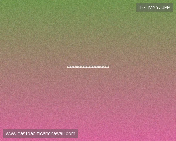 问鼎平台：安全稳定的云端服务保障企业信息安全与业务连续性