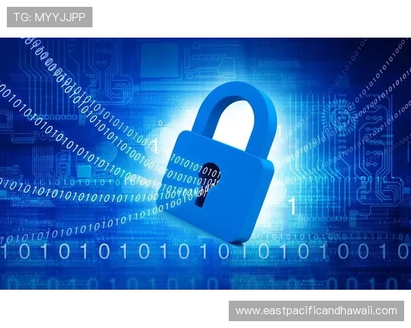 v体育app的安全保障措施与隐私保护策略，确保用户信息安全与使用放心