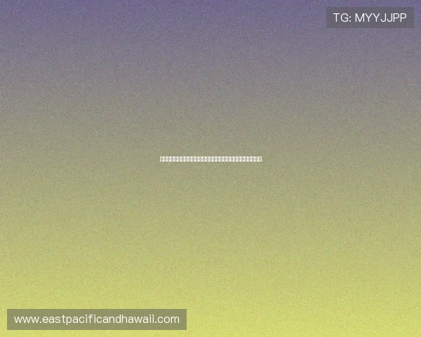 伊朗对新西兰比赛进球比分及球队表现分析助你全面了解比赛情况